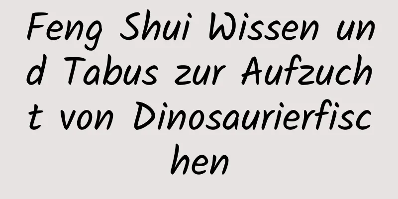 Feng Shui Wissen und Tabus zur Aufzucht von Dinosaurierfischen