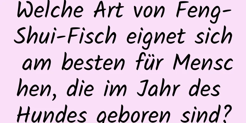 Welche Art von Feng-Shui-Fisch eignet sich am besten für Menschen, die im Jahr des Hundes geboren sind?