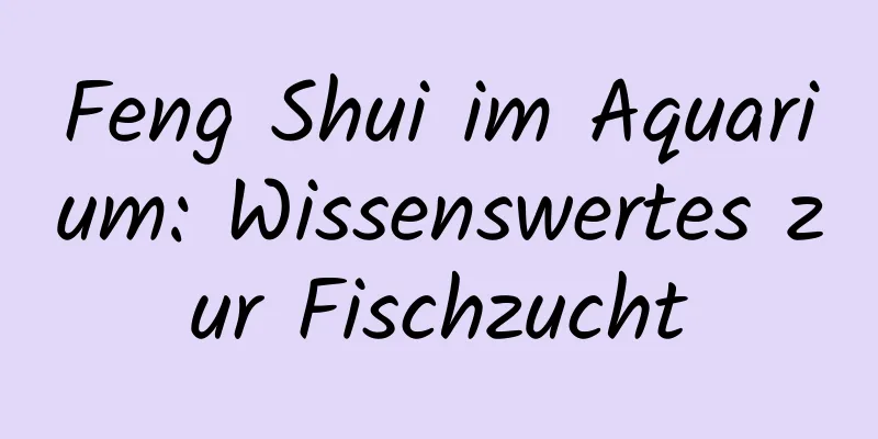 Feng Shui im ​​Aquarium: Wissenswertes zur Fischzucht