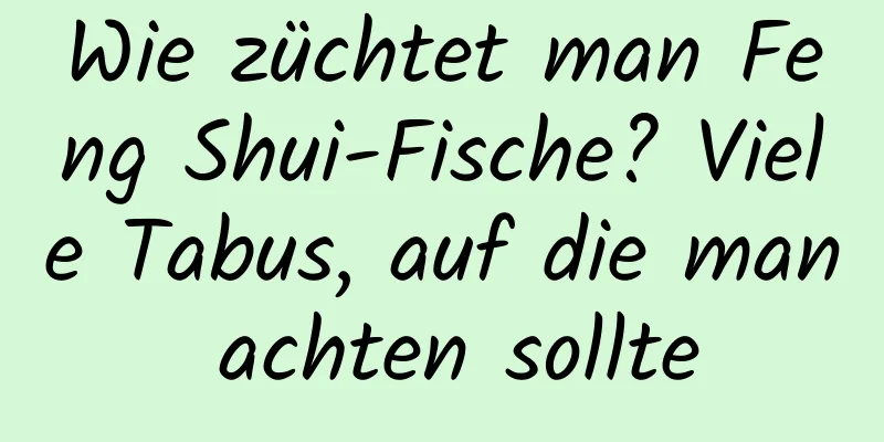 Wie züchtet man Feng Shui-Fische? Viele Tabus, auf die man achten sollte