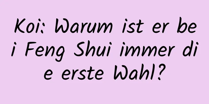 Koi: Warum ist er bei Feng Shui immer die erste Wahl?