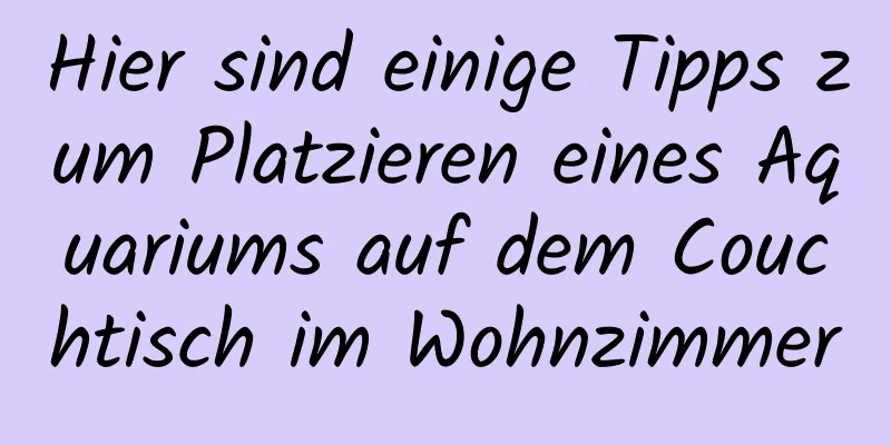 Hier sind einige Tipps zum Platzieren eines Aquariums auf dem Couchtisch im Wohnzimmer