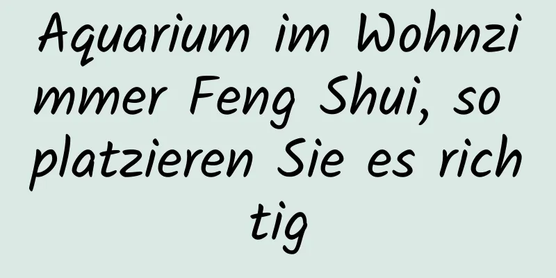 Aquarium im Wohnzimmer Feng Shui, so platzieren Sie es richtig