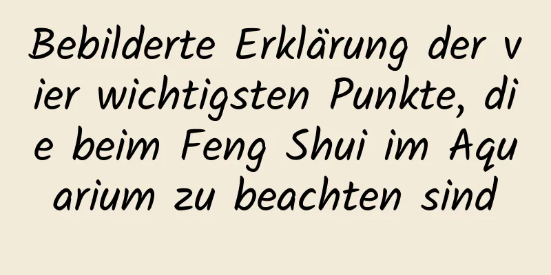 Bebilderte Erklärung der vier wichtigsten Punkte, die beim Feng Shui im ​​Aquarium zu beachten sind