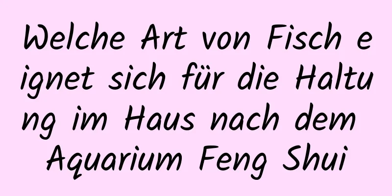 Welche Art von Fisch eignet sich für die Haltung im Haus nach dem Aquarium Feng Shui