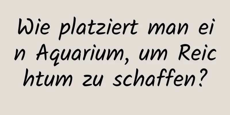 Wie platziert man ein Aquarium, um Reichtum zu schaffen?