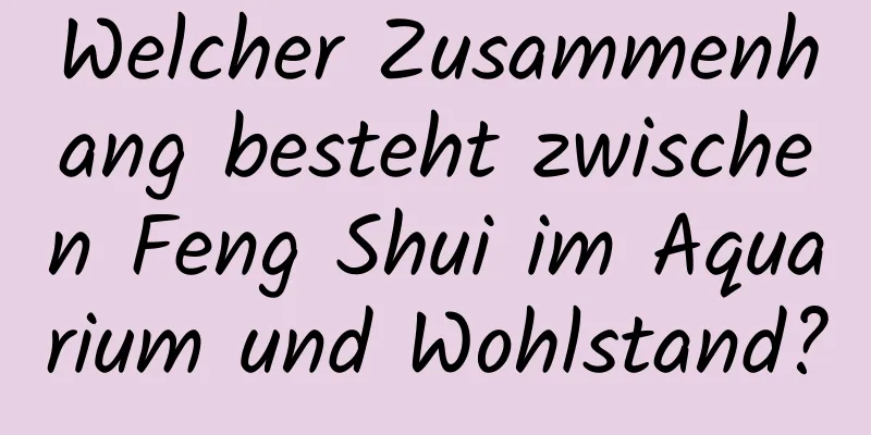 Welcher Zusammenhang besteht zwischen Feng Shui im ​​Aquarium und Wohlstand?