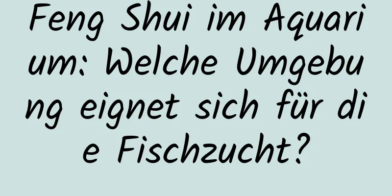 Feng Shui im ​​Aquarium: Welche Umgebung eignet sich für die Fischzucht?